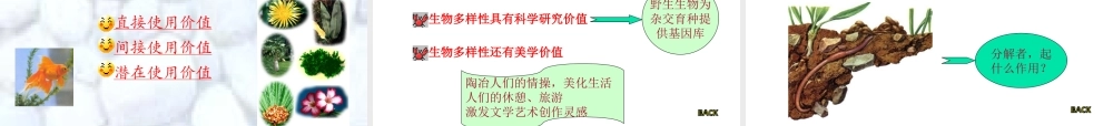 保护我们生存的环境