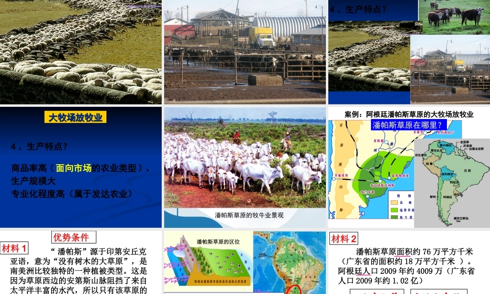 大牧场放牧业00