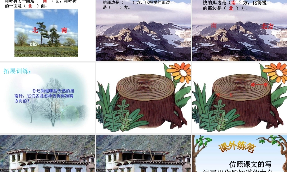 《要是你在野外迷了路》教学课件