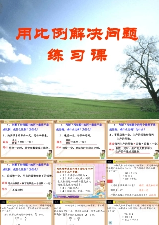 用比例解决问题练习课