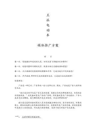 【策划方案】王牌电动车投放方案