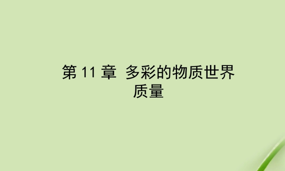 九年级物理 质量综合教学课件 人教新课标版 课件