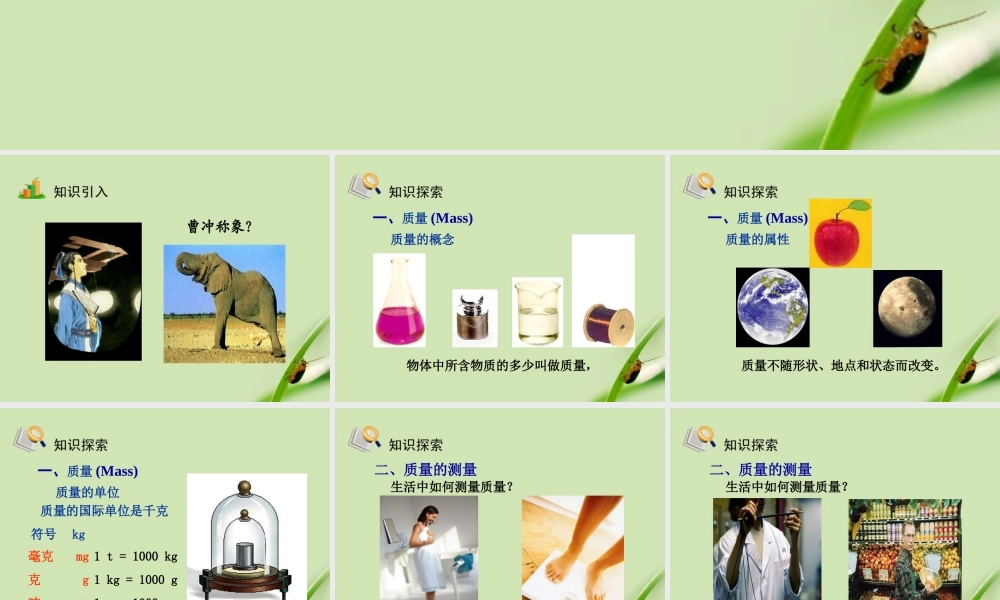 九年级物理 质量综合教学课件 人教新课标版 课件