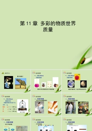 九年级物理 质量综合教学课件 人教新课标版 课件