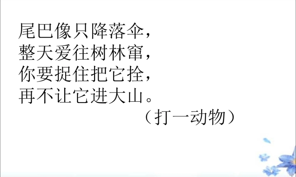 那只松鼠课件 (2)