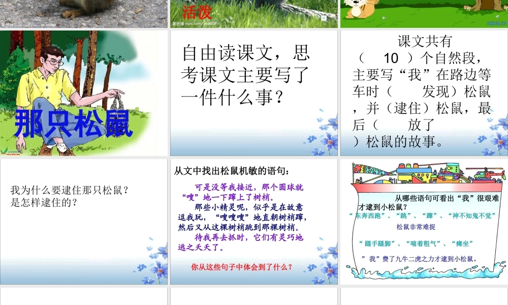 那只松鼠课件 (2)