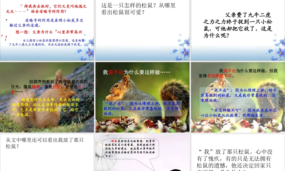 那只松鼠课件 (2)