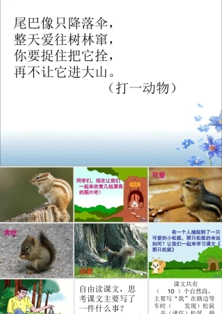 那只松鼠课件 (2)