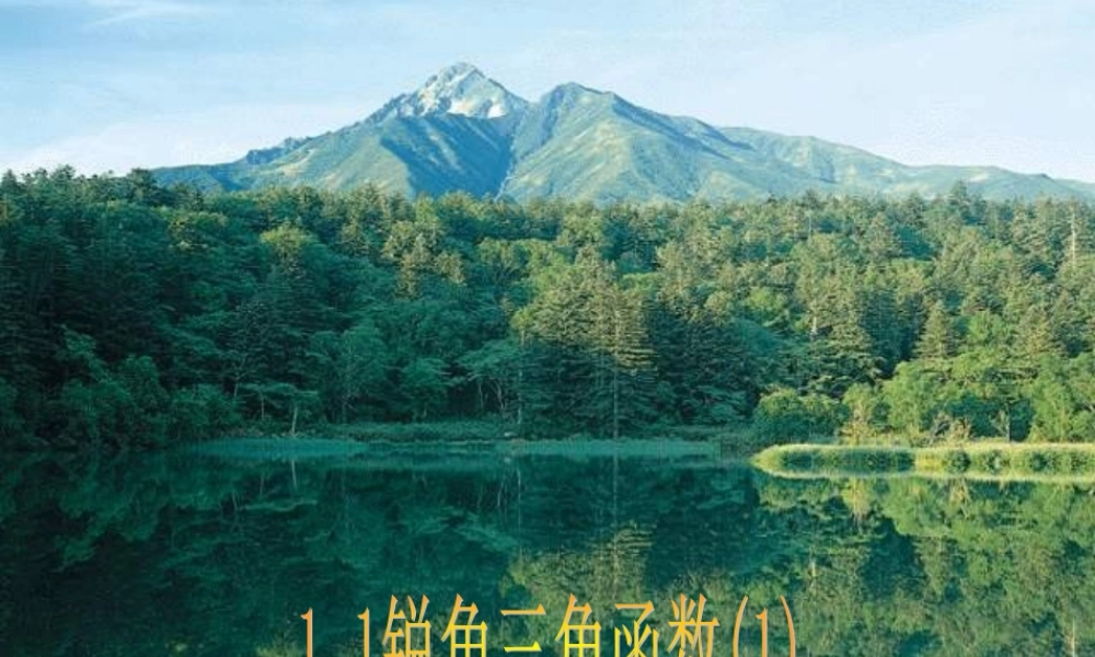 九年级数学锐角三角函数 浙教版 课件