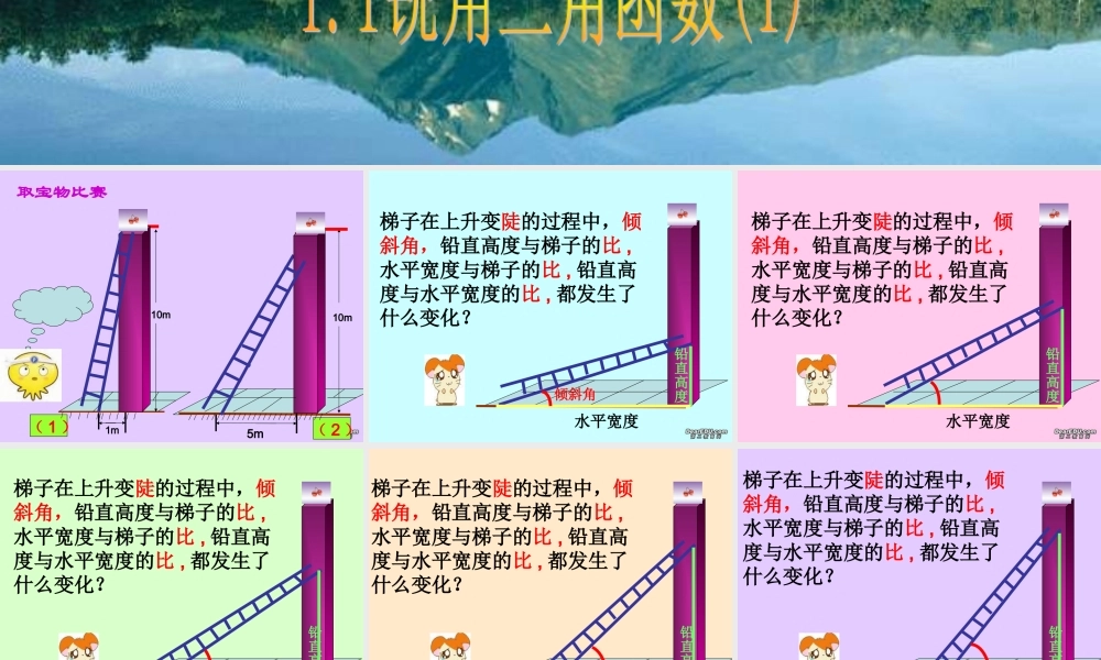 九年级数学锐角三角函数 浙教版 课件