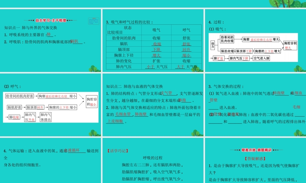 七年级生物下册 4.3.2发生在肺内的气体交换习题课件(新版)新人教版 课件