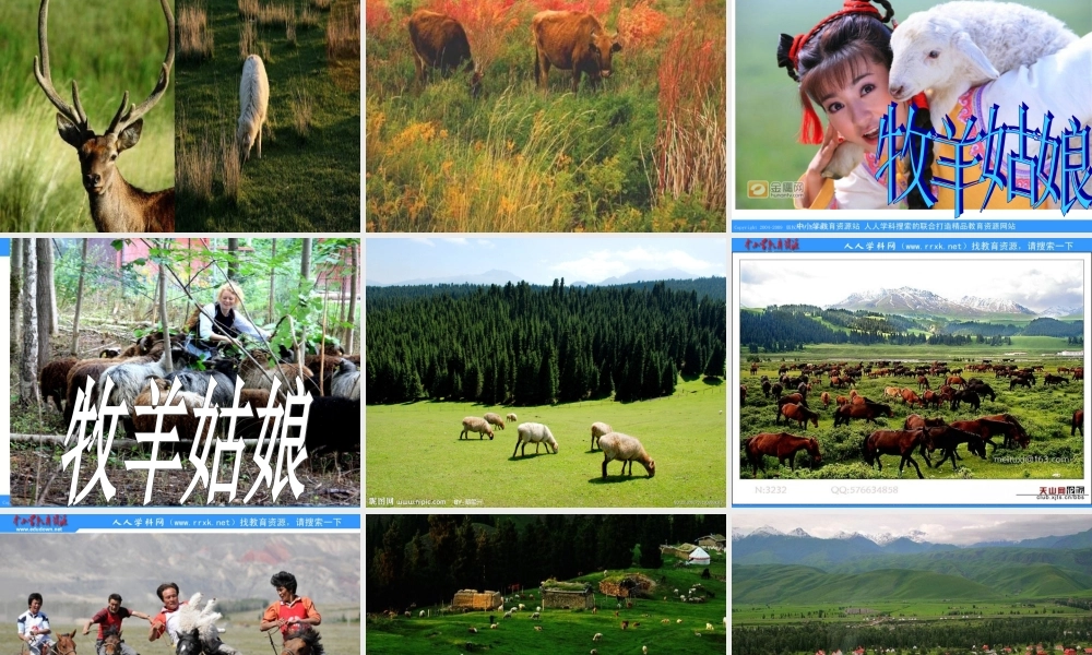 教科版五年级下册《迷人的天山牧场》