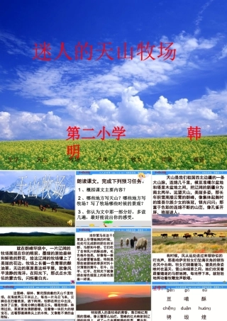 教科版五年级下册《迷人的天山牧场》