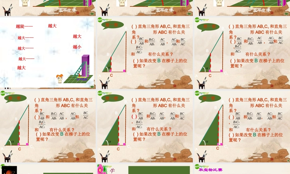 九年级数学下册 11锐角三角函数(1)课件 浙教版 课件