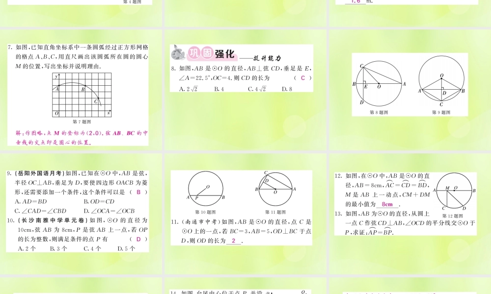 九年级数学下册 第2章 圆 23 垂径定理习题课件 (新版)湘教版 课件