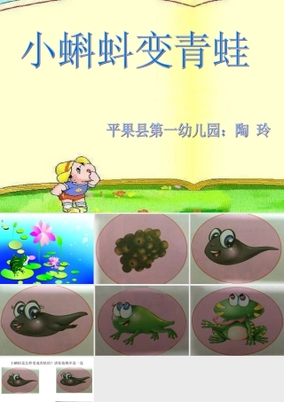 小班：小蝌蚪变青蛙