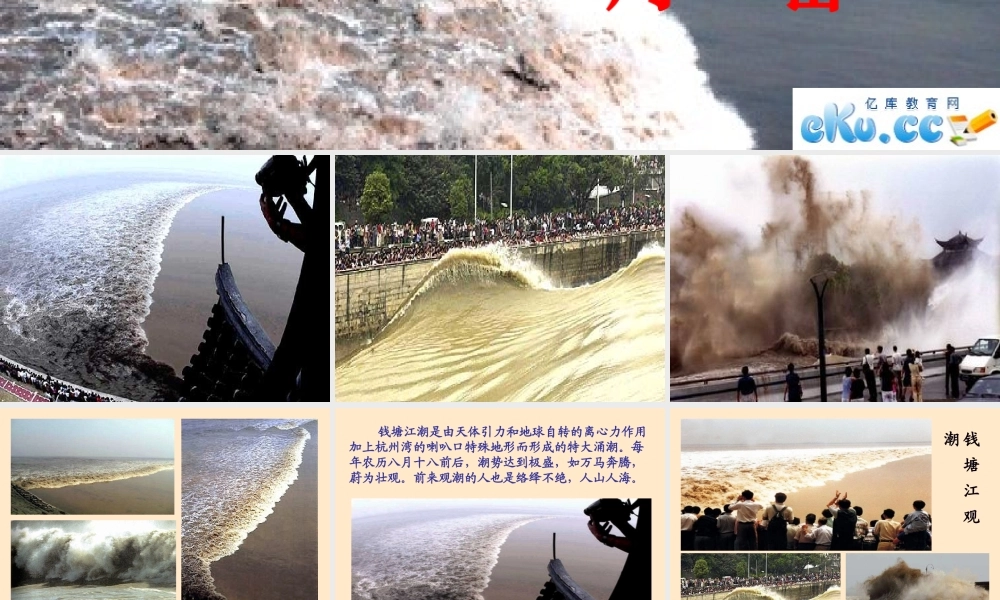 八年级语文观潮教学课件 人教版 课件