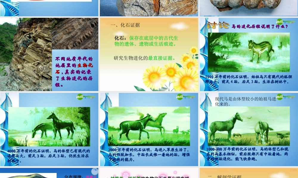 八年级生物下册 第五单元第一章第二节生物进化的证据课件 济南版 课件