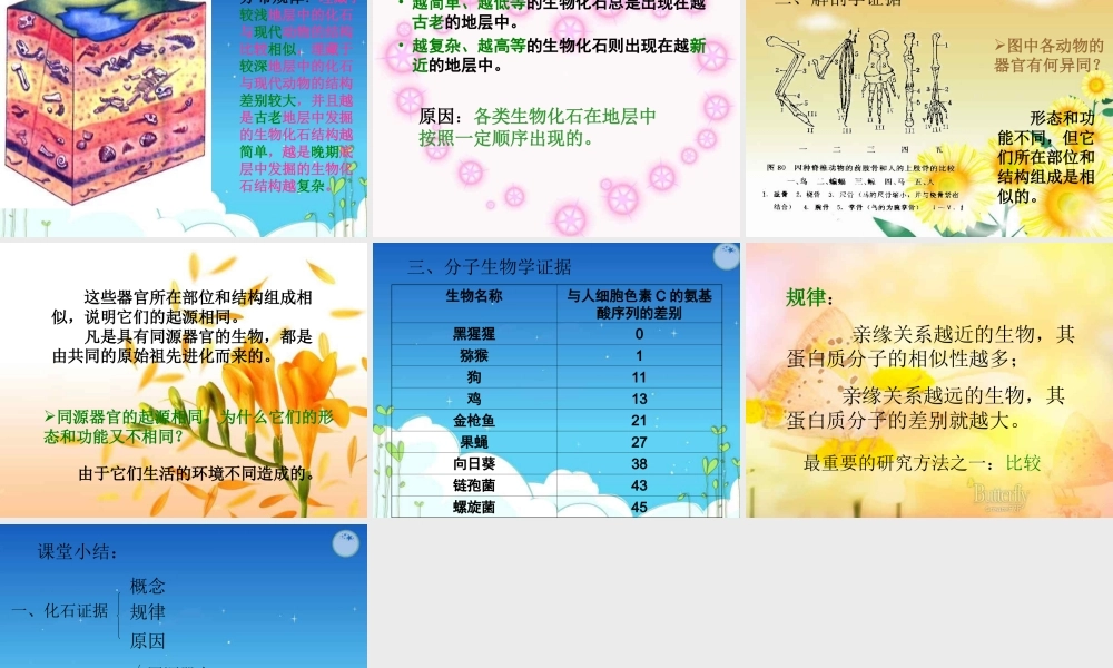 八年级生物下册 第五单元第一章第二节生物进化的证据课件 济南版 课件