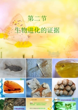 八年级生物下册 第五单元第一章第二节生物进化的证据课件 济南版 课件