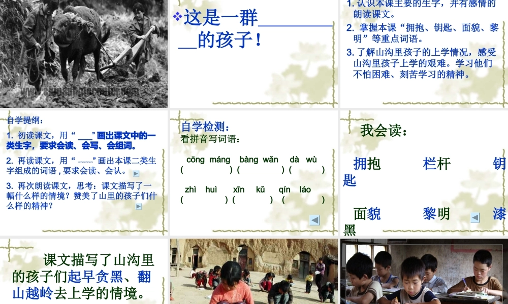 三年级语文《山沟里的孩子》