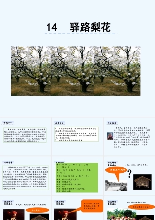 (部编)初中语文人教2011课标版七年级下册《驿路梨花》课件-(4)