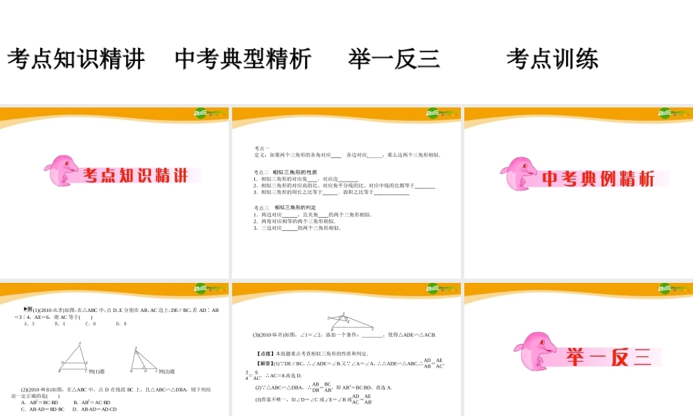 中考数学专题复习 第33讲　相似三角形课件 人教新课标版 课件