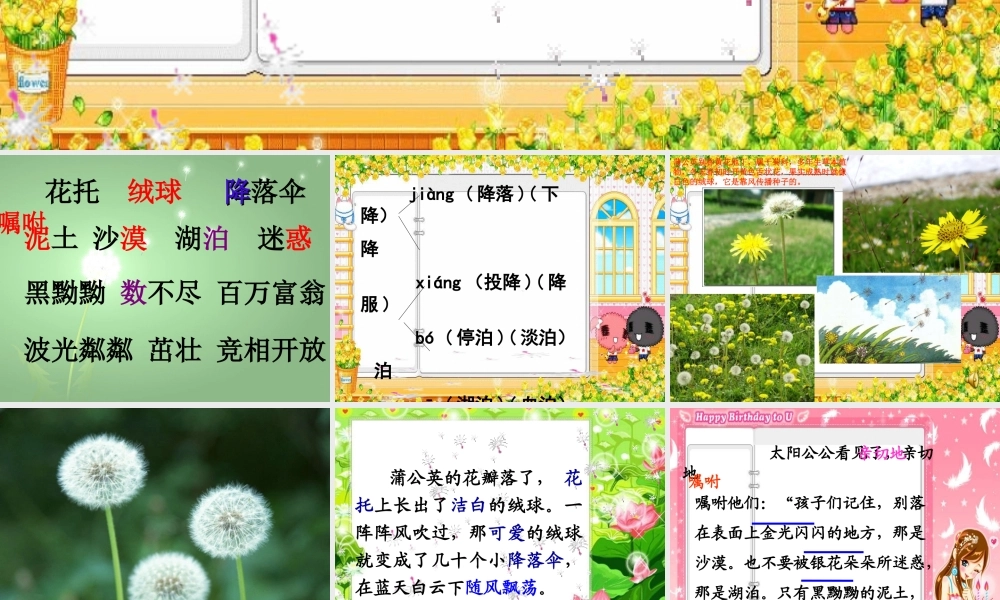 8蒲公英-(2)