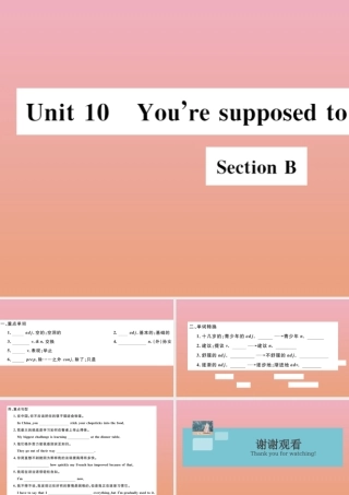 九年级英语全册 Unit 10 You re supposed to shake hands Section B作业课件 (新版)人教新目标版 课件