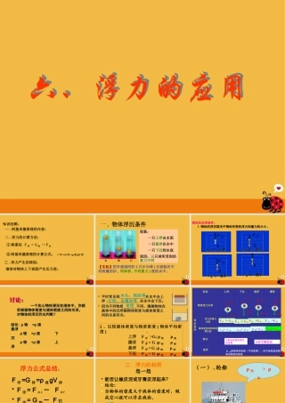 九年级物理 (146浮力的应用)课件 人教新课标版 课件
