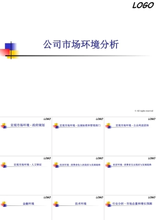 公司市场环境分析模板