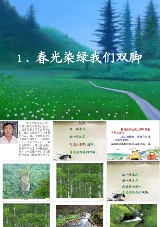 1春光染绿我们双脚-(4)