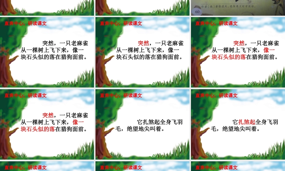《麻雀》课件1