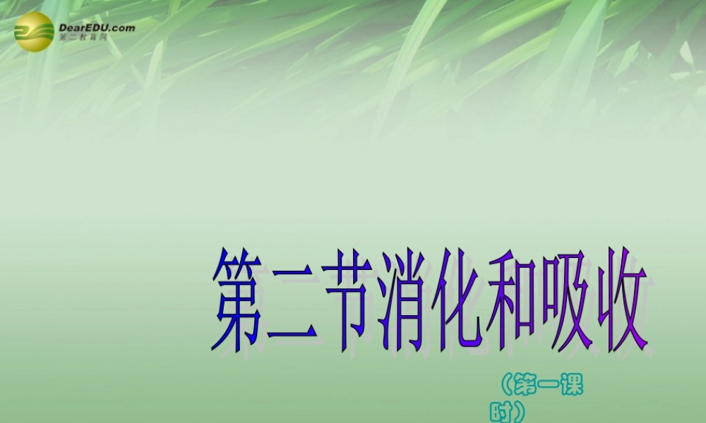 七年级生物下册 第二节 消化和吸收课件 新人教版 课件