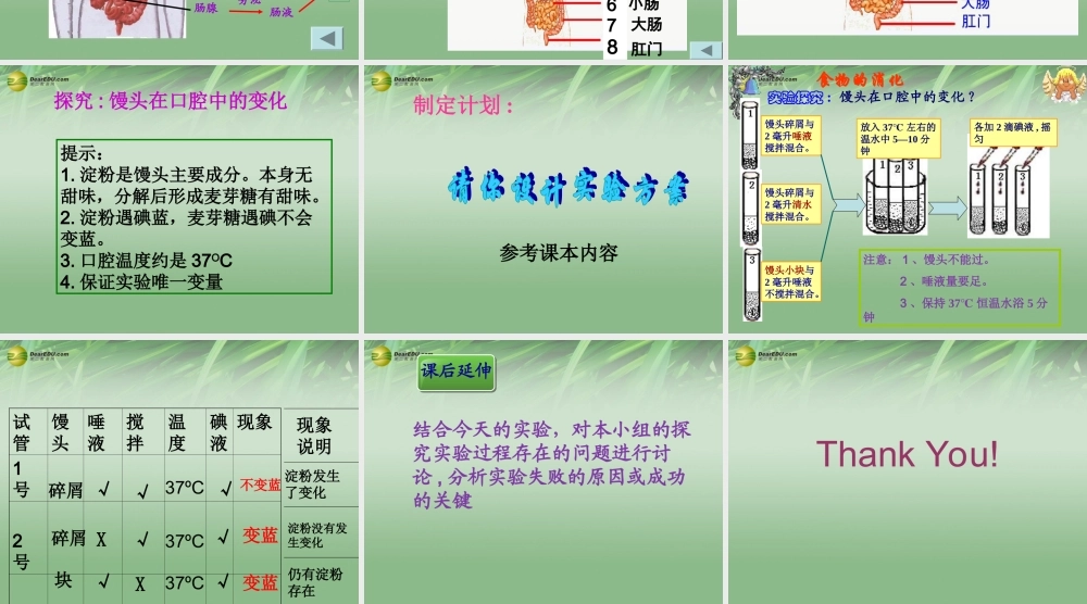 七年级生物下册 第二节 消化和吸收课件 新人教版 课件