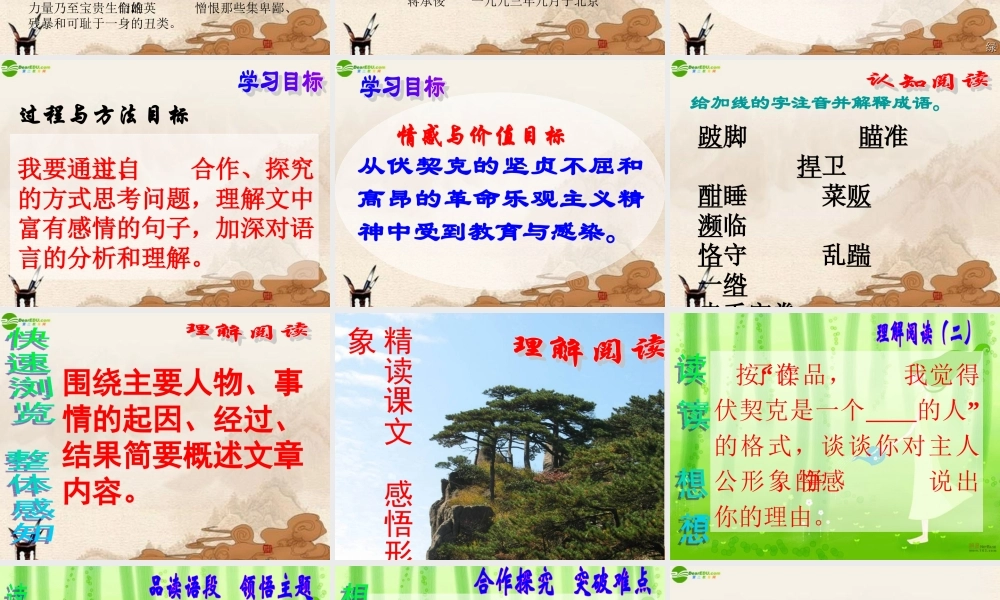 八年级语文下册 第6课(绞刑架下的报告)课件 北师大版 课件