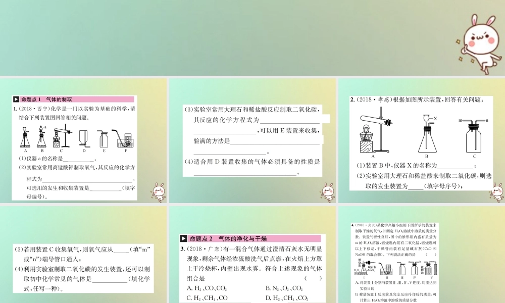 中考化学复习 主题五 科学探究 第17讲 气体的制取 净化和干燥课件