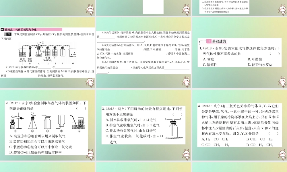 中考化学复习 主题五 科学探究 第17讲 气体的制取 净化和干燥课件
