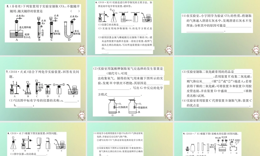 中考化学复习 主题五 科学探究 第17讲 气体的制取 净化和干燥课件