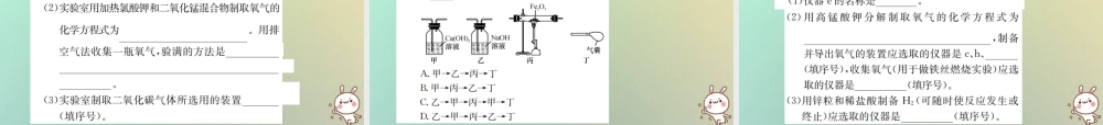 中考化学复习 主题五 科学探究 第17讲 气体的制取 净化和干燥课件