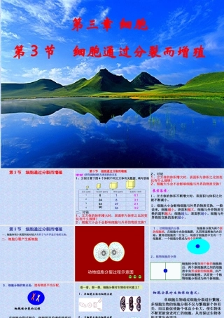七年级生物上册 细胞通过分裂而增殖1课件 北师大版 课件