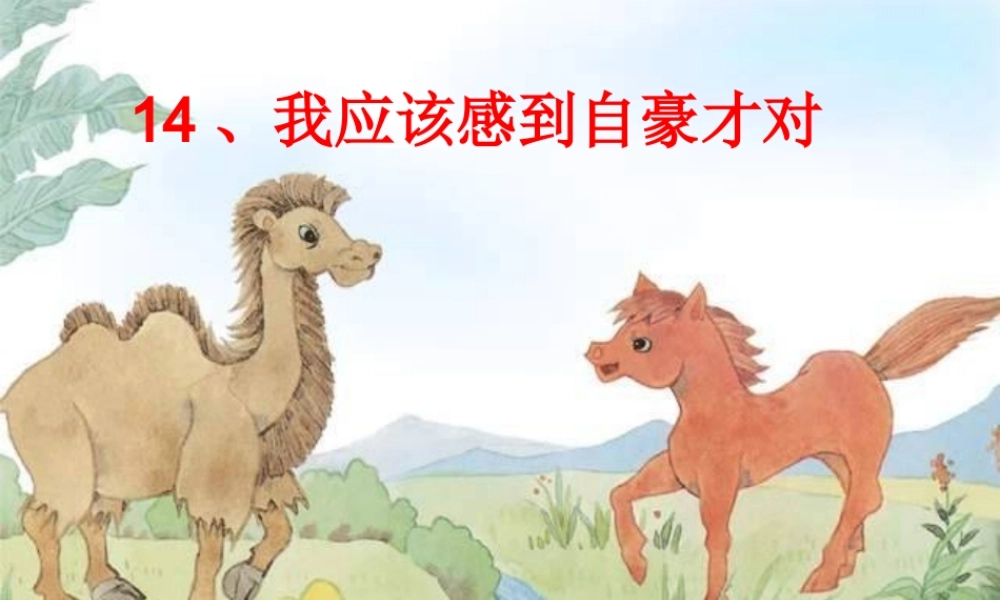 我应该感到自豪才对 (3)