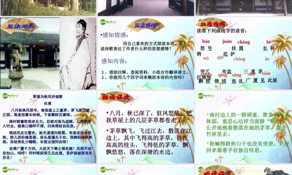 八年级语文下册(茅屋为秋风所破歌)课件 人教新课标版 课件