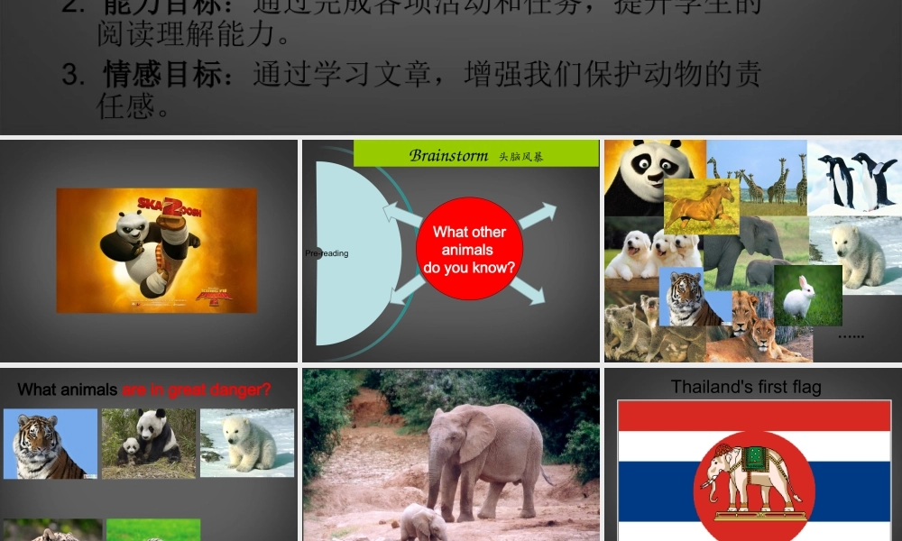 中学七年级英语下册 同课异构高效课堂大赛(Unit5 Why do you like pandas )课件2 人教学目标版 课件