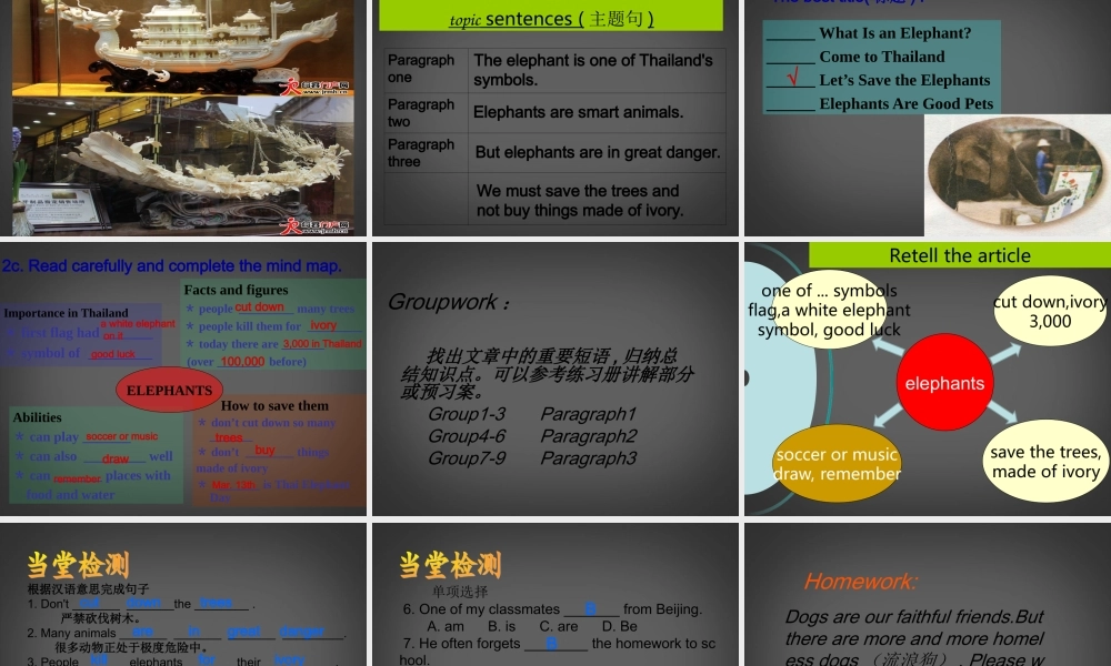 中学七年级英语下册 同课异构高效课堂大赛(Unit5 Why do you like pandas )课件2 人教学目标版 课件