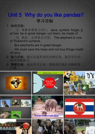 中学七年级英语下册 同课异构高效课堂大赛(Unit5 Why do you like pandas )课件2 人教学目标版 课件