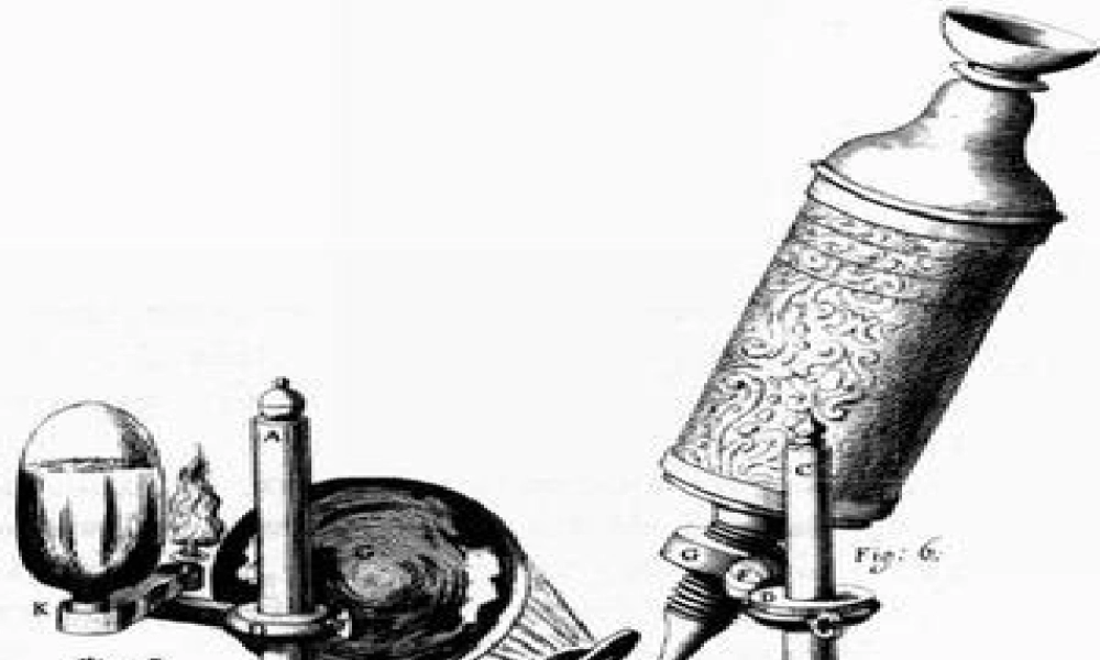 解开生物体结构的秘密