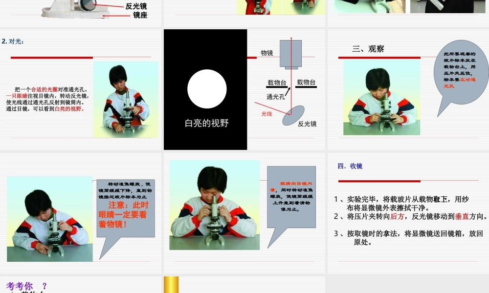 解开生物体结构的秘密