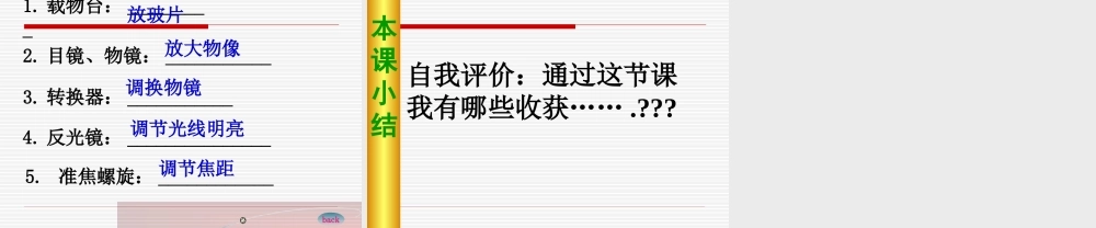 解开生物体结构的秘密