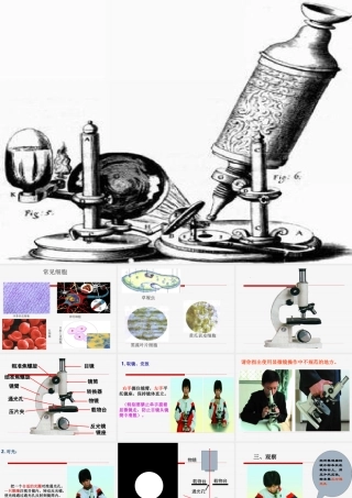 解开生物体结构的秘密